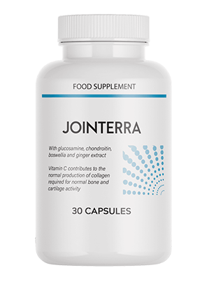 Jointerra